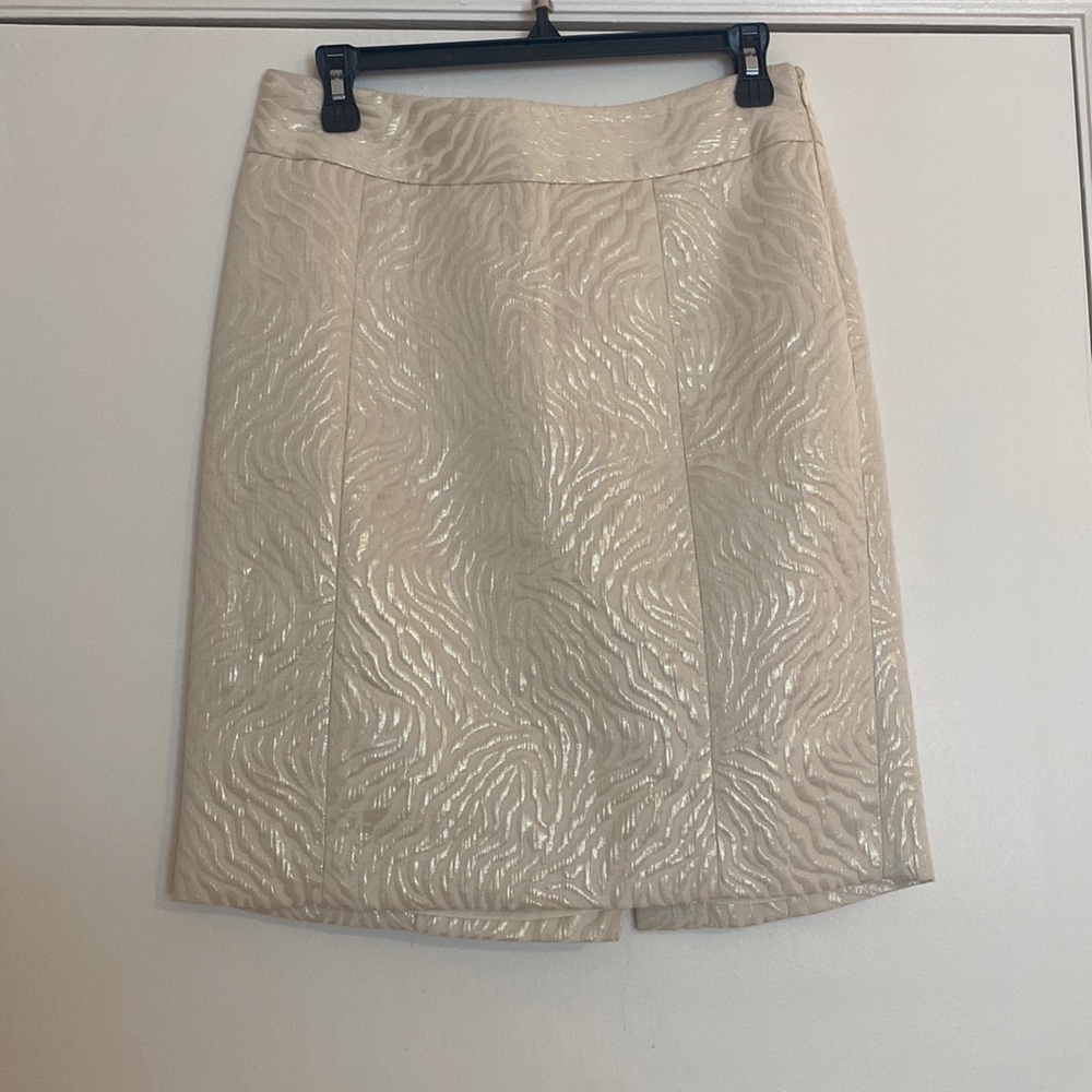 Ann Taylor Pencil Skirt
